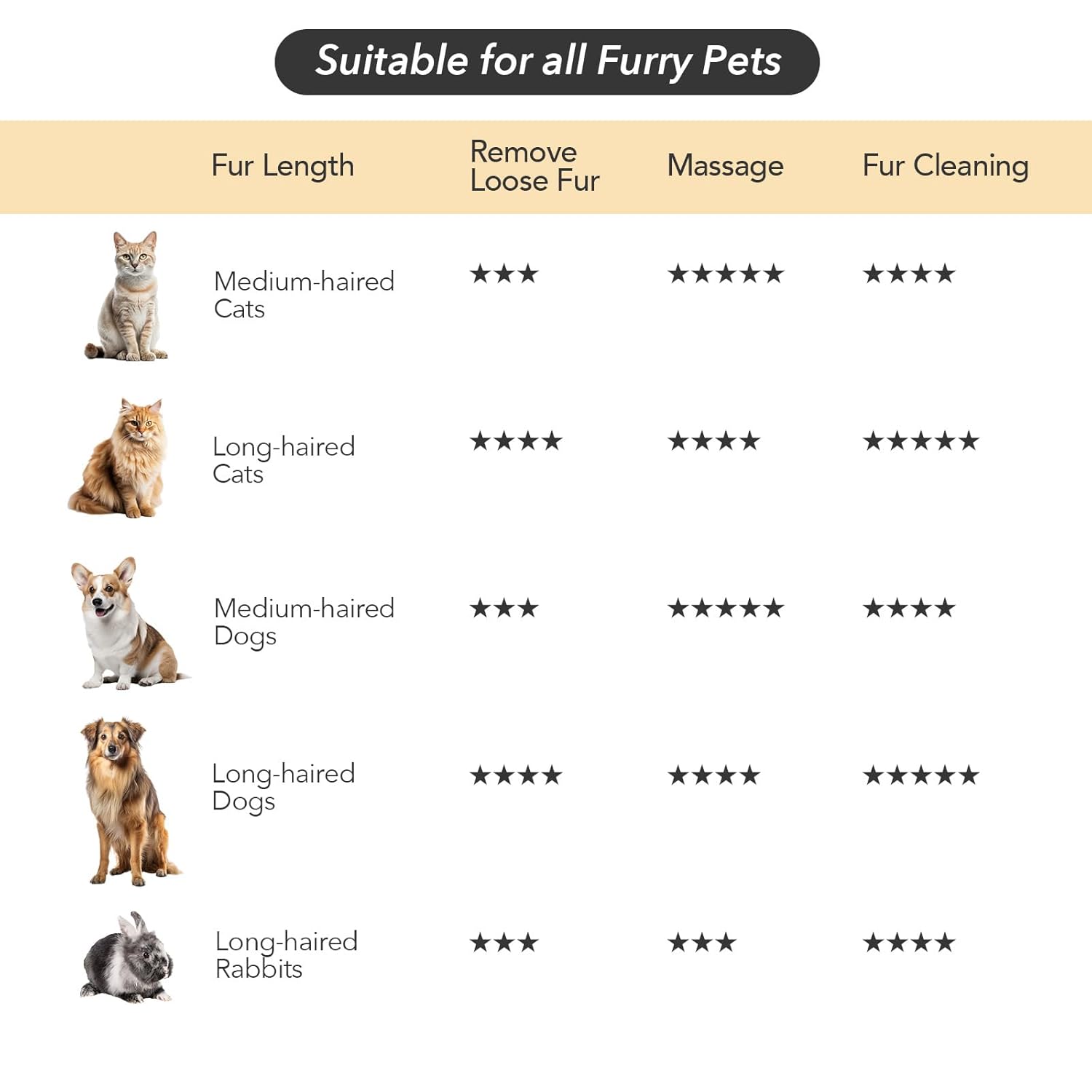Miley&Daisy Upgraded Steam Cat & Dog Brush – 5-in-1 Grooming Essential